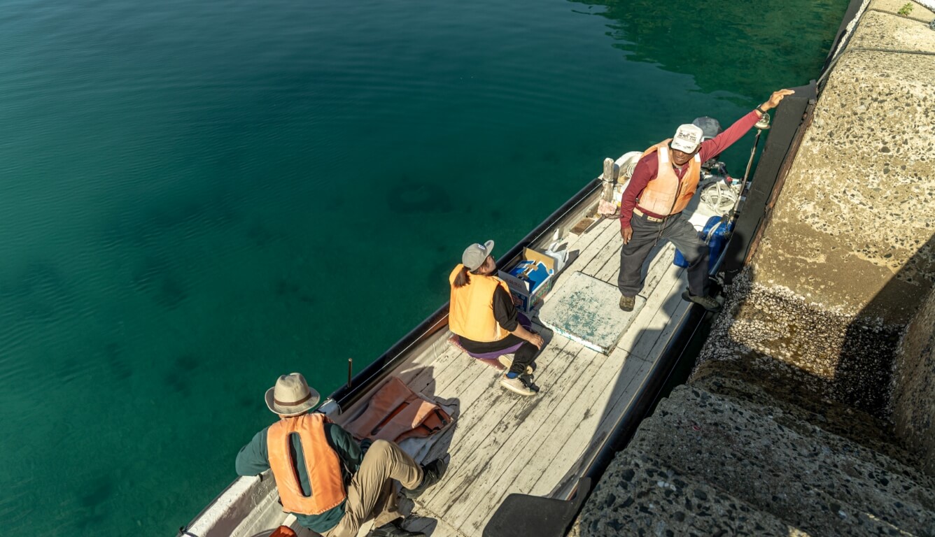 交流プログラム